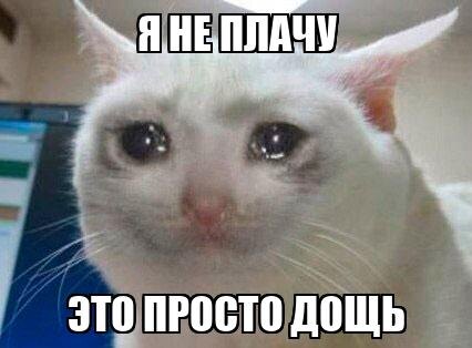 blog33_4.jpg